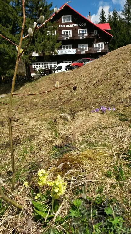 Chata Pod Certovicou Vyšná Boca Bagian luar foto