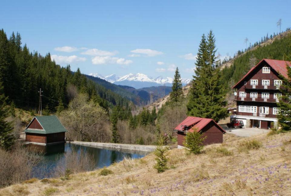 Chata Pod Certovicou Vyšná Boca Bagian luar foto